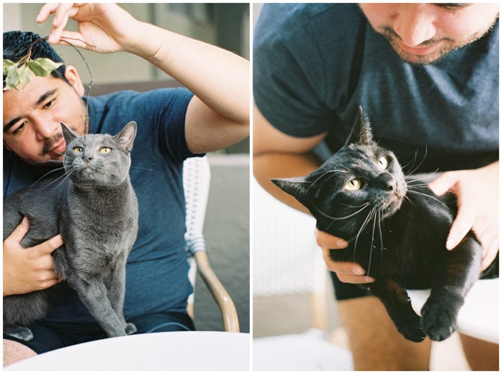 Cats on Portra 400 Film