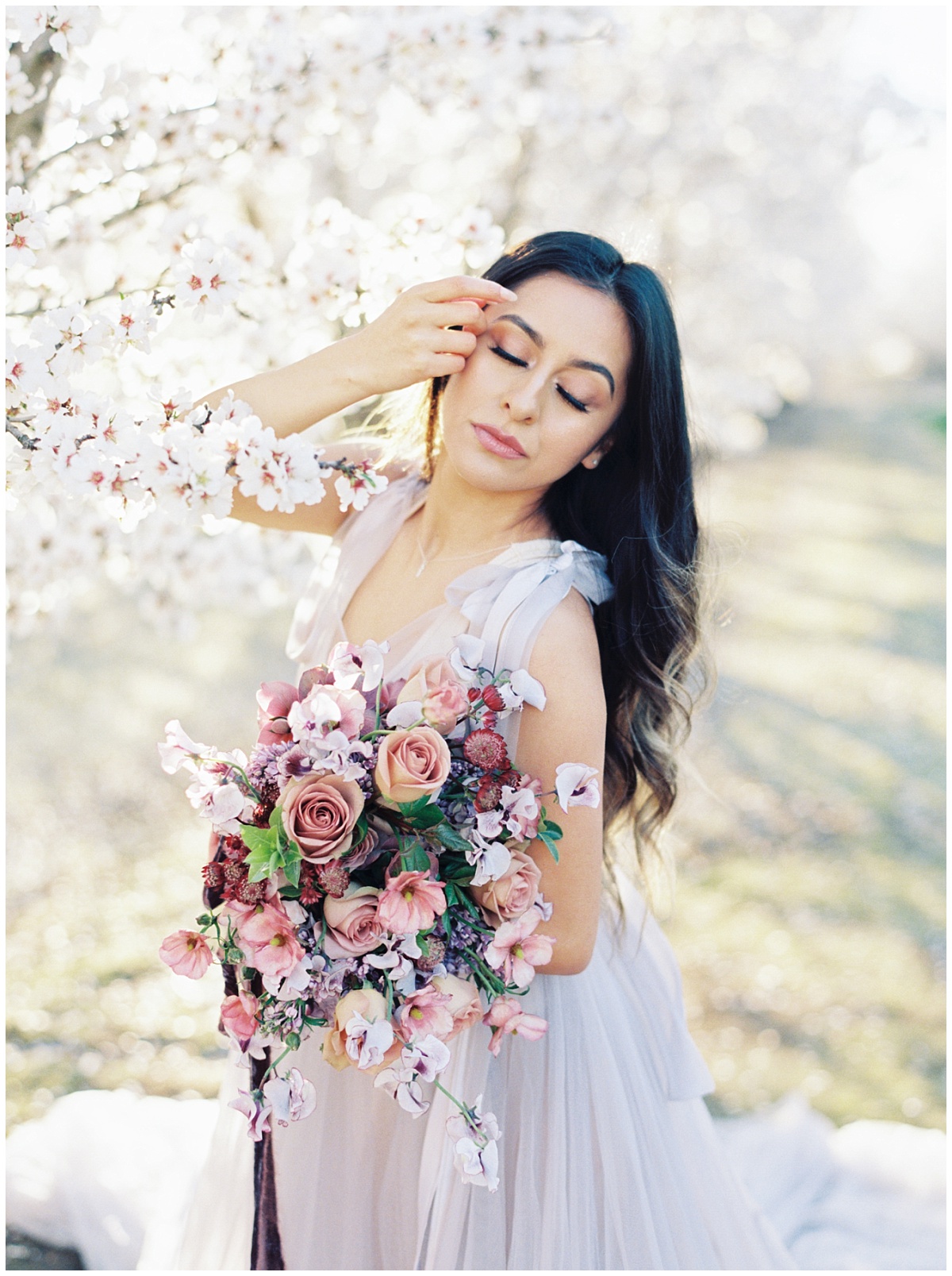 Ethereal Almond Blossom Photos
