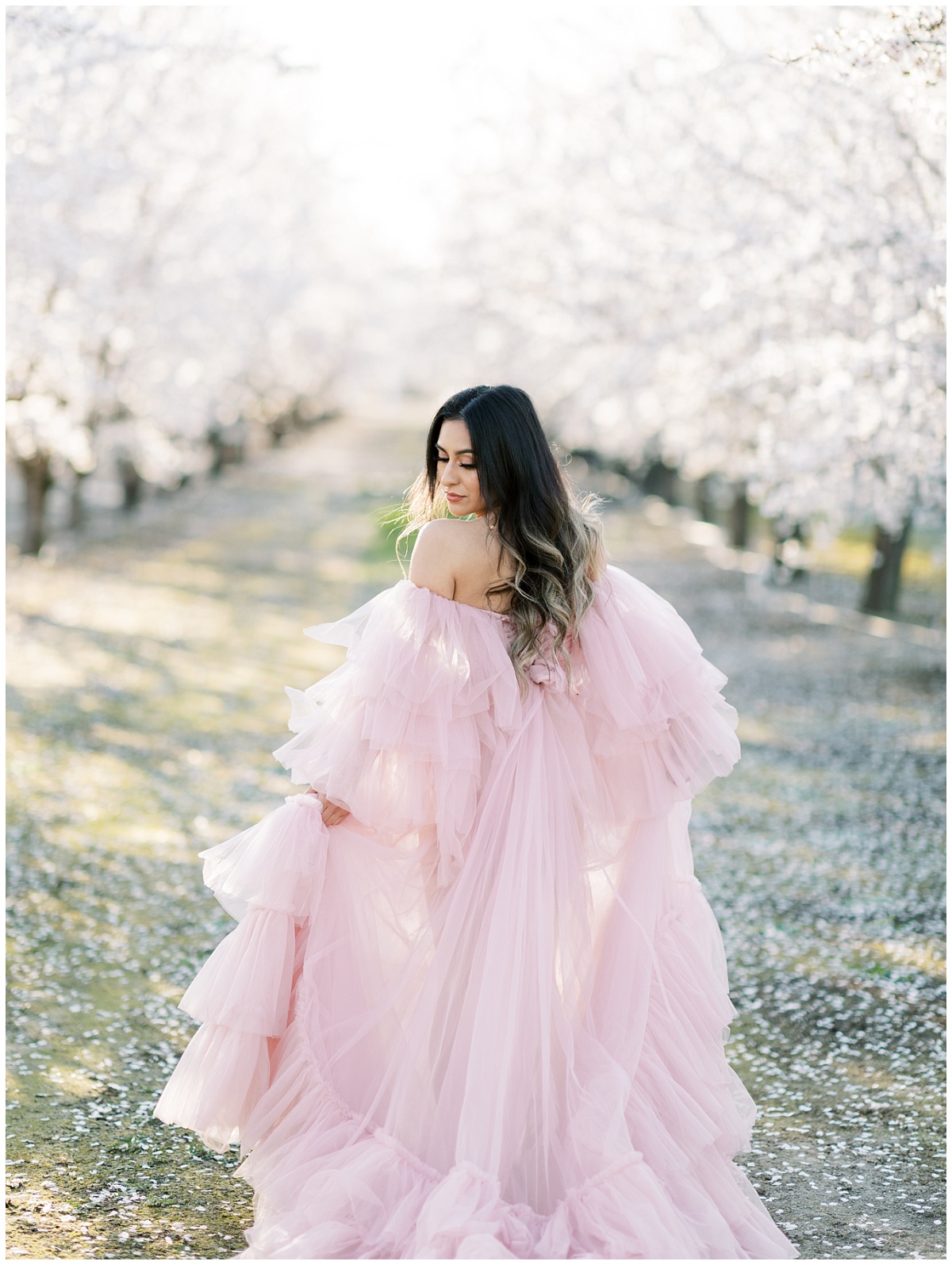 Ethereal Almond Orchard Session