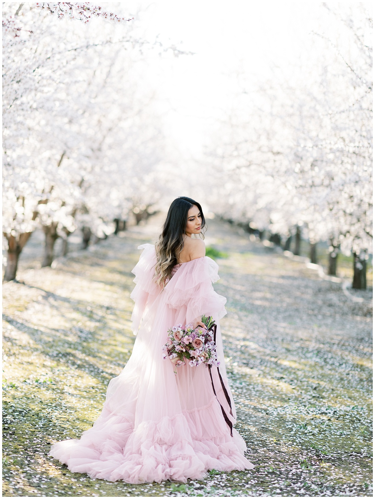 Ethereal Almond Orchard Photos