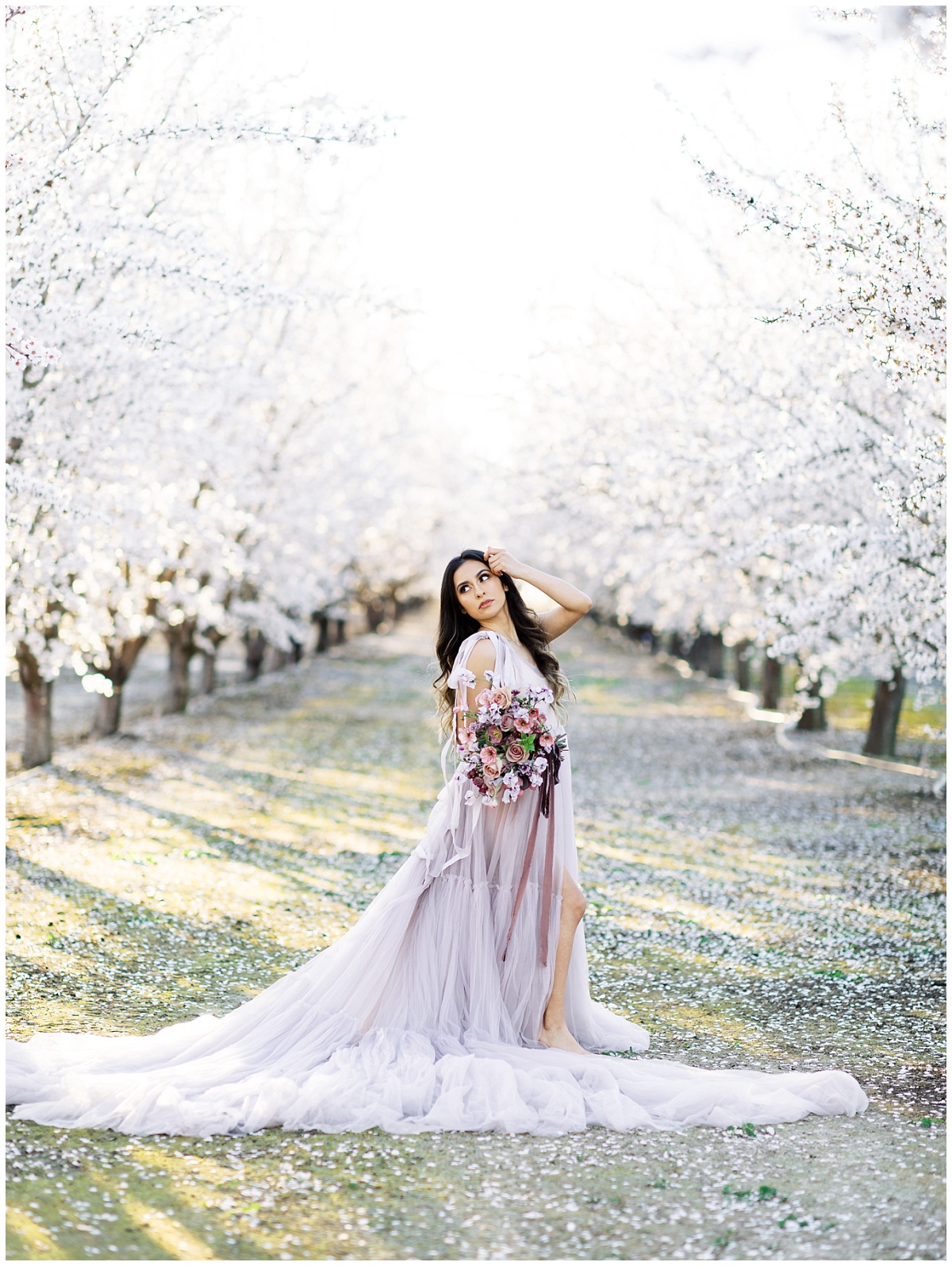 Ethereal Almond Blossom Photos