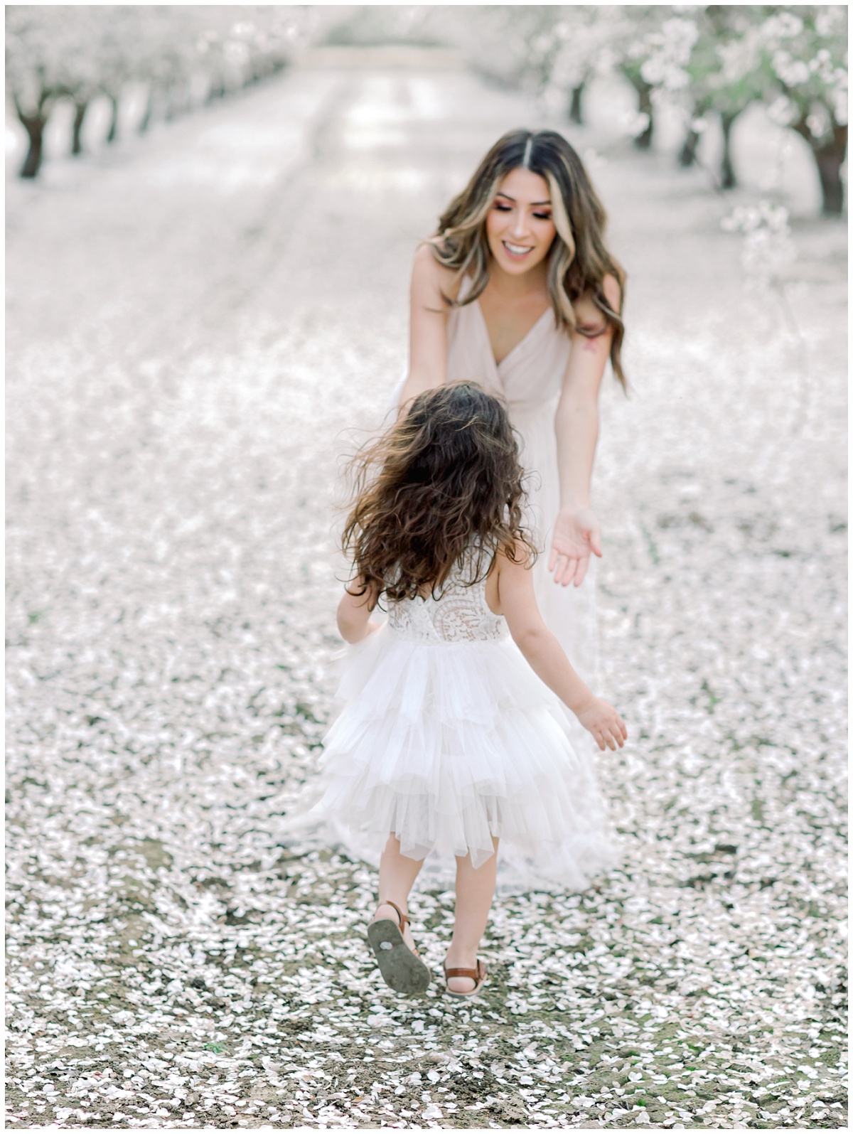 Almond Blossom Orchard Family Photos