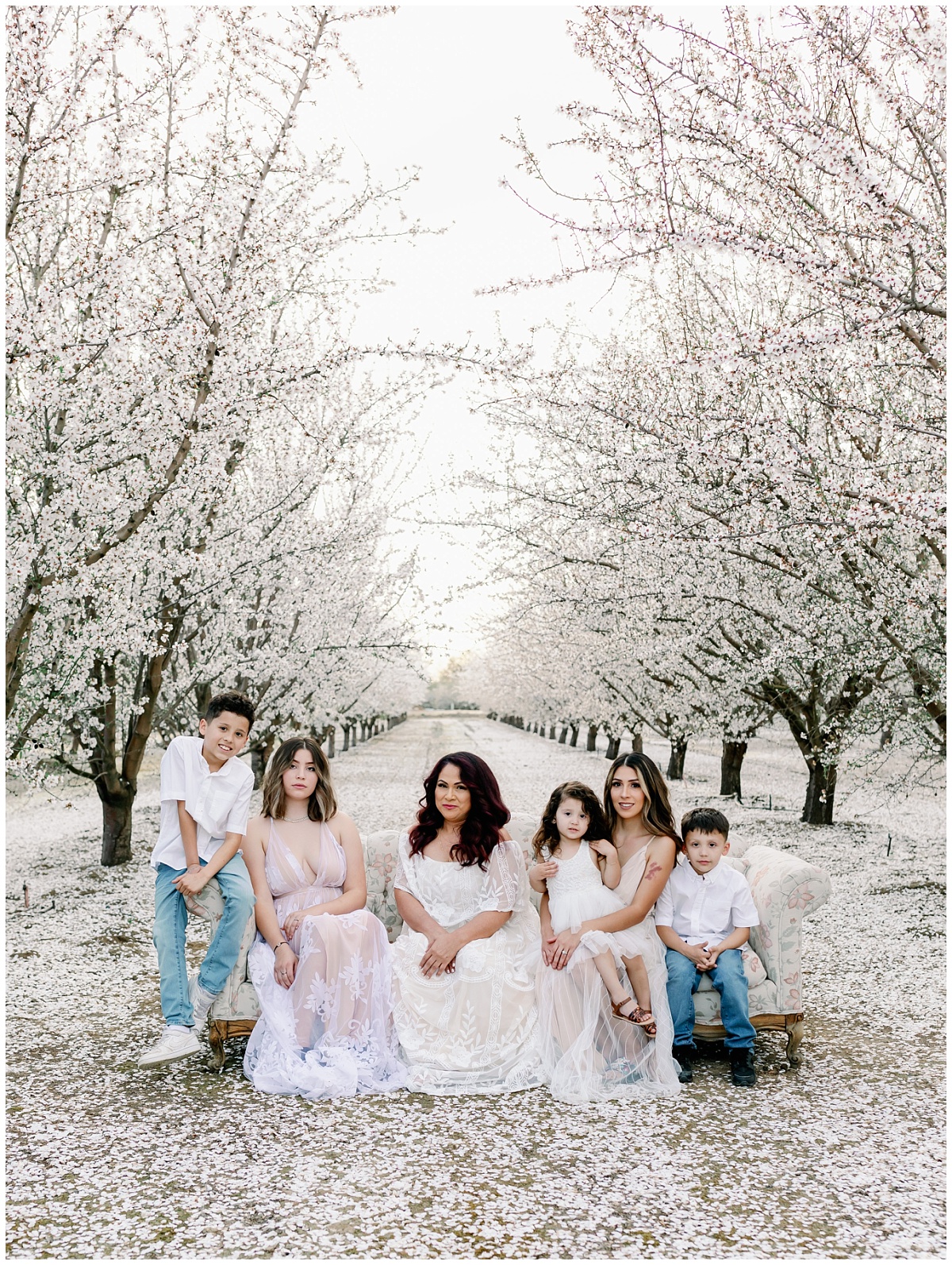 Almond Blossom Family Photos