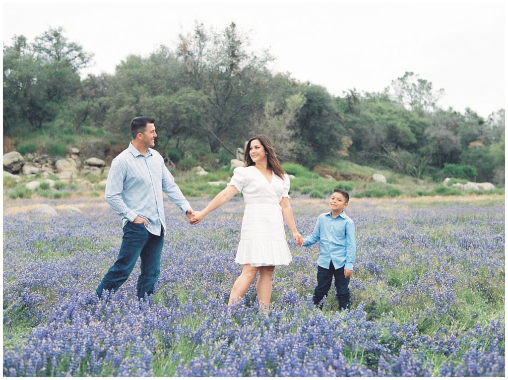 Family Photos in the Lupine