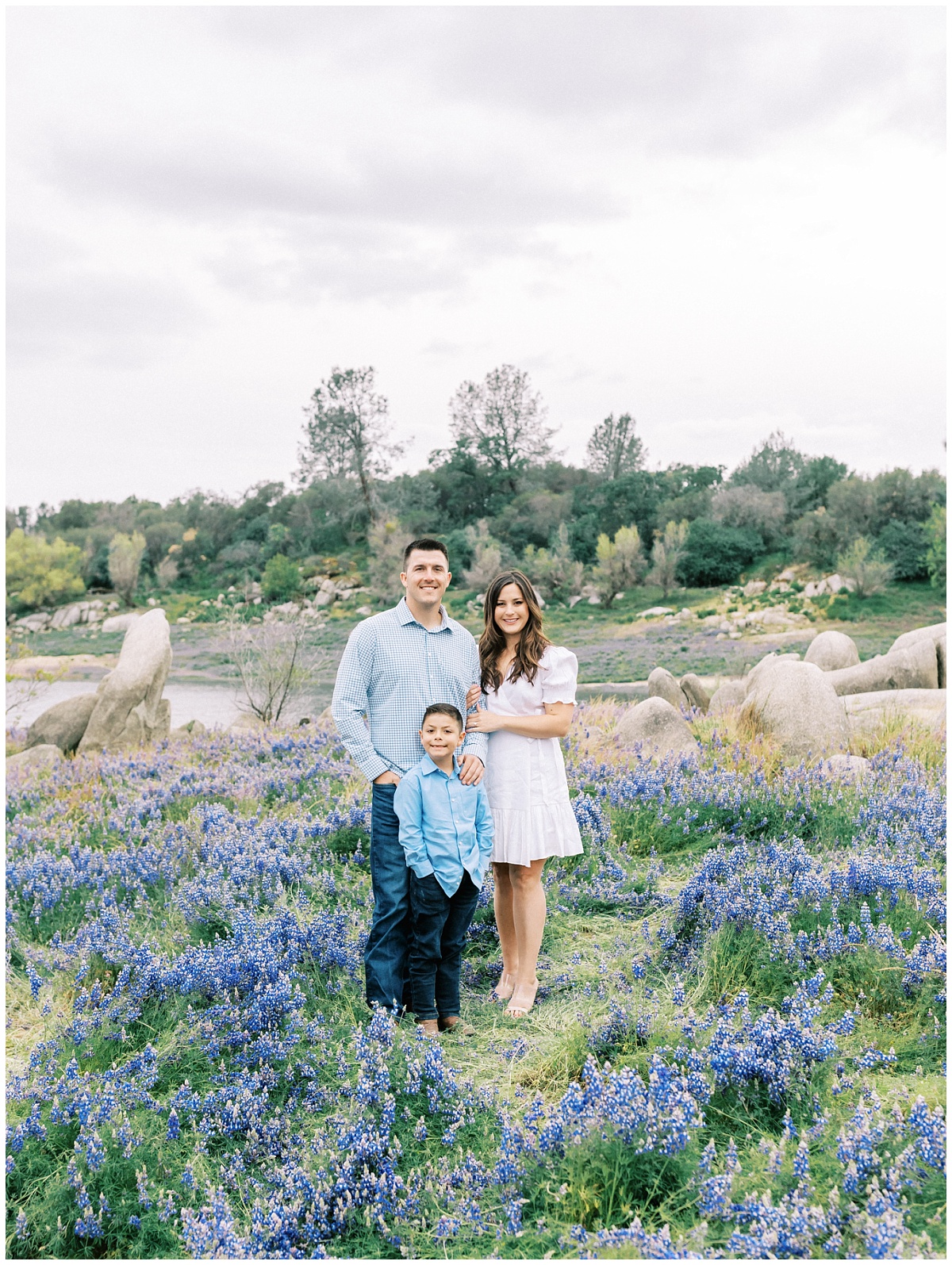 Lupine Engagement Session