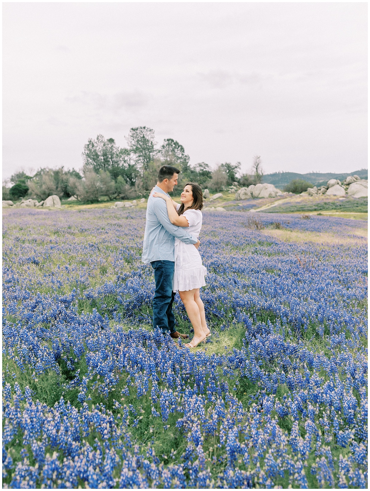 Engagement Photos in the Lupine