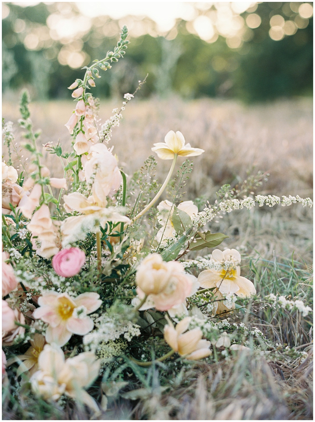 Flowers on Film Photography