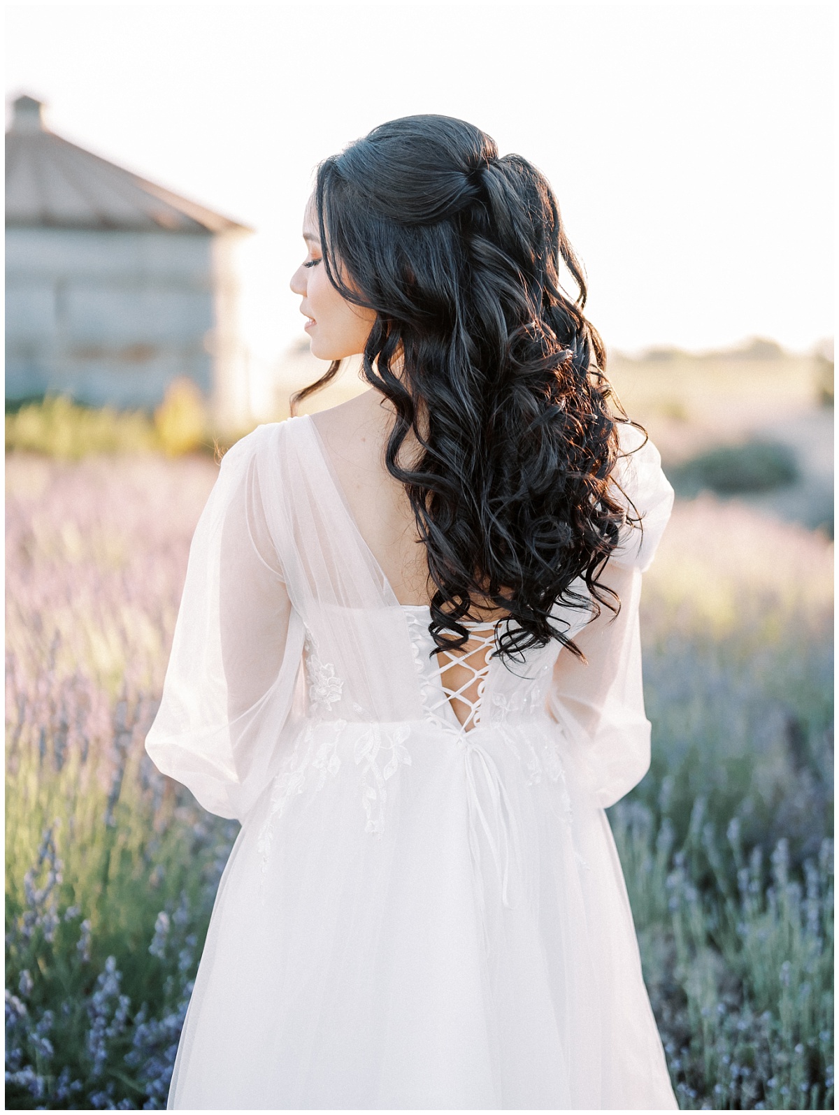 Lavender Field Bridal Photo