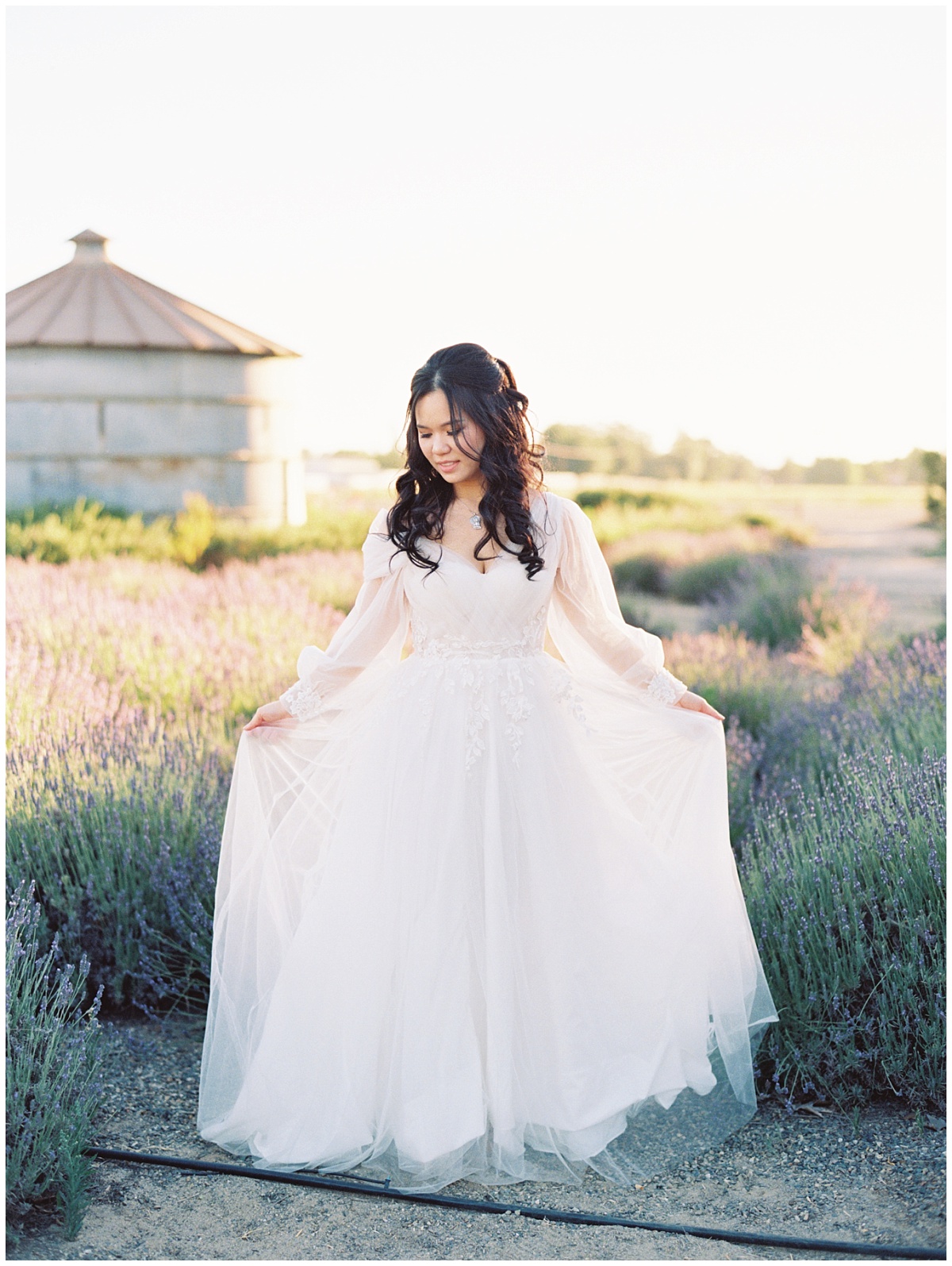 Lavender Field Bridal Photo