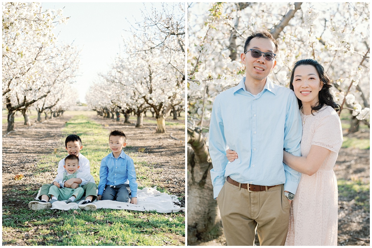 Family Almond Blossom Photographer