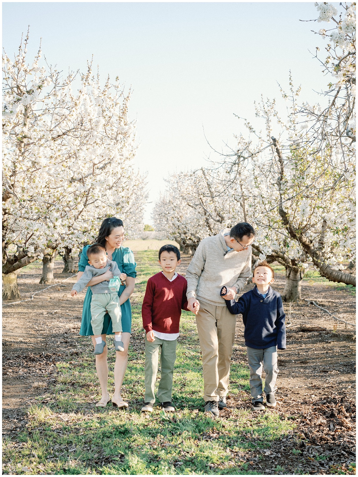 Family Photos at the Almond Blossom Orchard