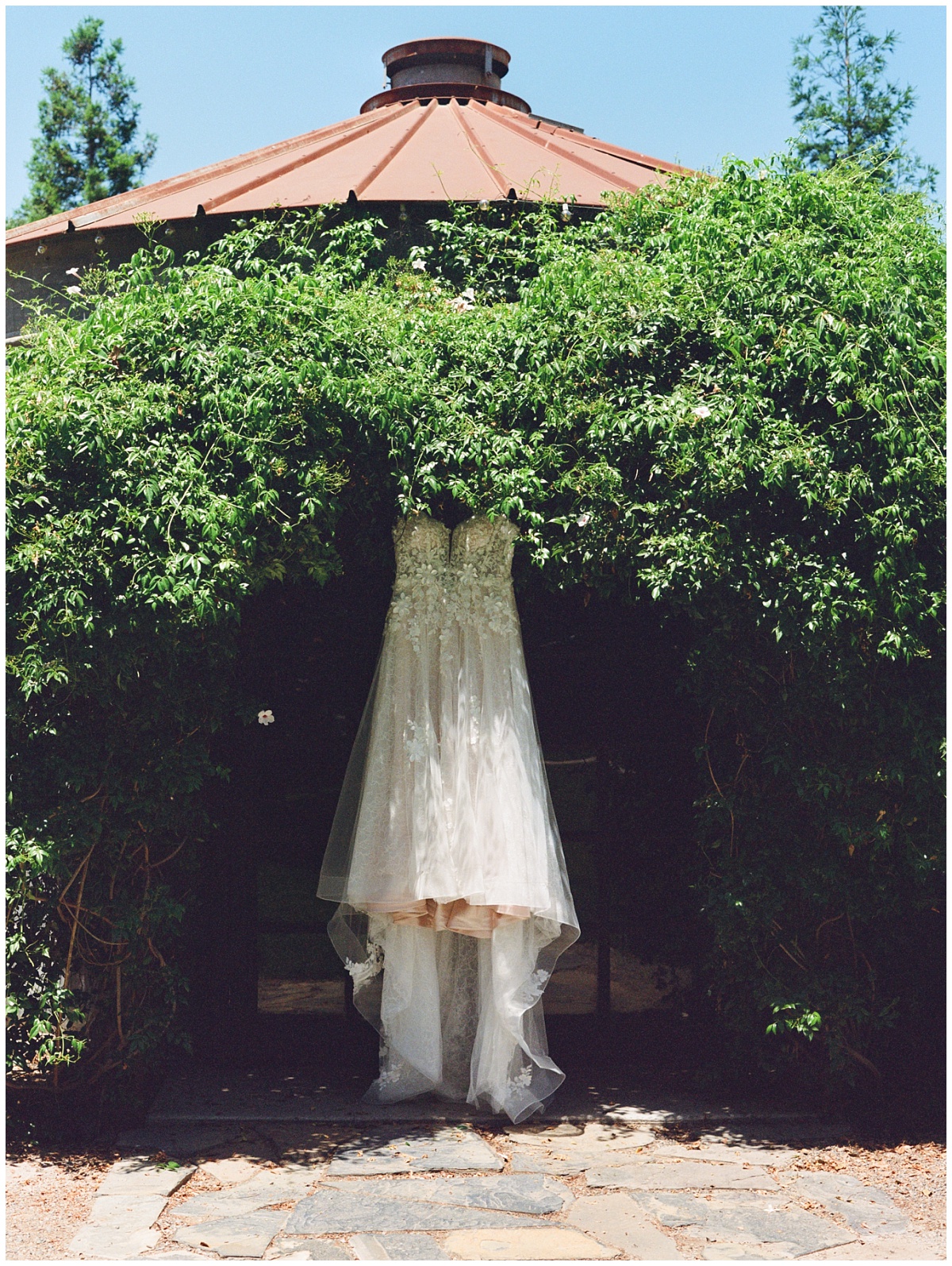 Pageo Lavender Farm Wedding