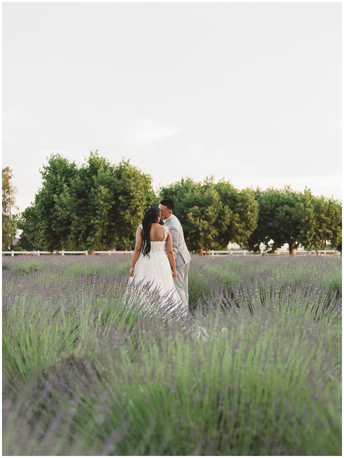 Pageo Lavender Farm Wedding